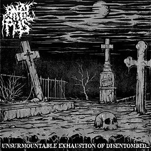ANAL PUS - Unsurmountable Exhaustion of...