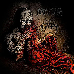 ANATOMIA/RUIN - Split LP
