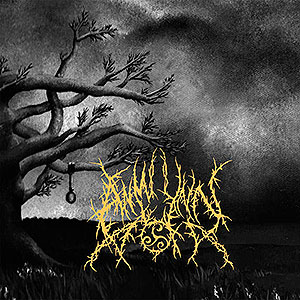 ANWYNN - Voices of Perdition