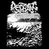 DECAYING FORM - Chronicles of Decimation