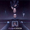 ENSLAVED - Monumension