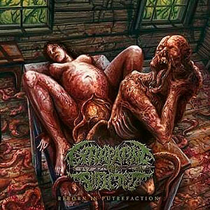 EXTIRPATING THE INFECTED - Reborn in Putrefaction