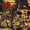 HIDEOUS CHAOS/FRONT TERROR - Split LP
