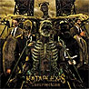 KATAPLEXIS - Insurrection