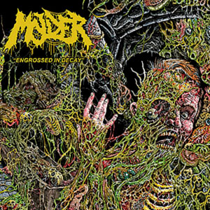 MOLDER - Engrossed in Decay