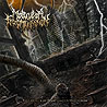 MOLECULAR FRAGMENTATION - Recurrence of Blasphemous Maelstrom