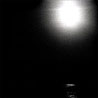 NINE COVENS - ...On the Coming of Darkness