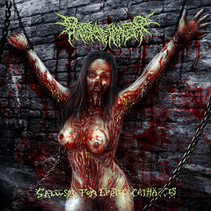 PERVERSE IMAGERY - Sadism for Erotic Catharsis