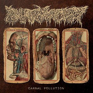 PHARMACIST - Carnal Pollution