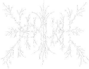 DEMILICH