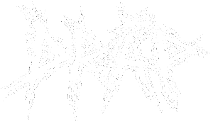 DRP