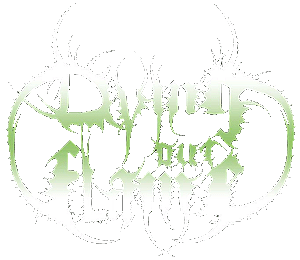 DYING OUT FLAME