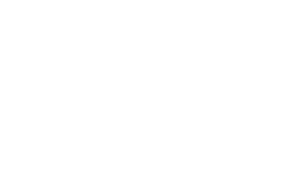NECROPSY