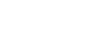 SOULSKINNER