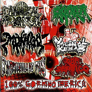 100% GORRINO IBRICO - 6-Way Split CD