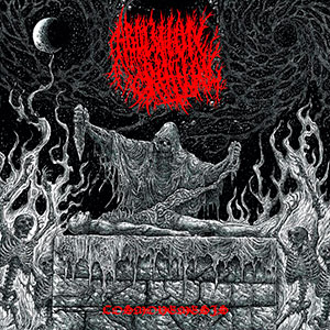 ABOLITION RITUAL - Cosmonemesis