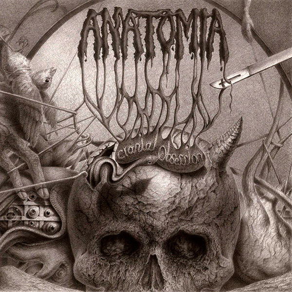 ANATOMIA - Cranial Obsession