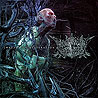 BRADI CEREBRI ECTOMIA - Threads of Desperation