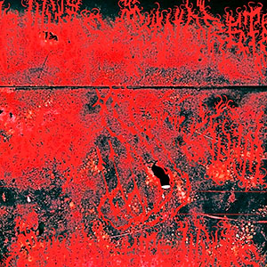 CONCRETE WINDS - Concrete Winds