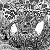 CRYPTIC BROOD - Wormhead