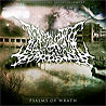 DISARTICULATING EXTINGUISHMENT - Psalms of Wrath