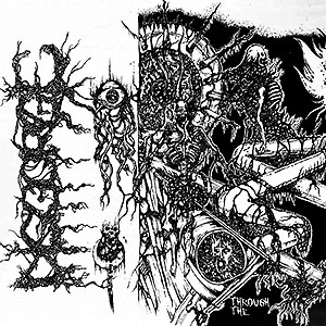 DISGORGE (mex) - Through the Innards