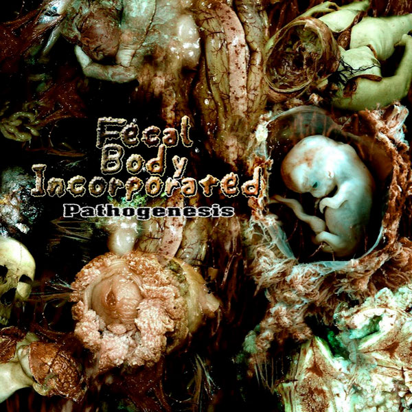 FECAL BODY INCORPORATED - Pathogenesis / Origin of the Grinding...