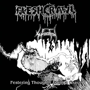 FLESHCRAWL / SUFFOCATION - Lost in a Grave - Split CD