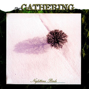 GATHERING, THE - Nighttime Birds