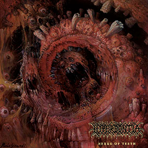 HYPERDONTIA - Nexus of Teeth