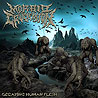 MORBID CRUCIFIXION - Decaying Human Flesh