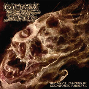 PUTREFACTION SETS IN - Repugnant Inception of Decomposing Paroxysm