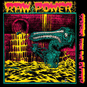 RAW POWER - Screams From the Gutter