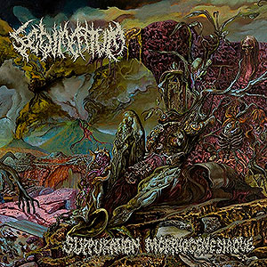 SEDIMENTUM - Suppuration Morphognsiaque