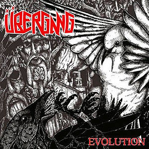 BERGANG - Evolution