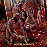 VAGINAL ADDICTION - Orgy of Depravity